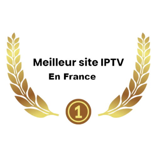 Die besten IPTV-Dienstleister in Frankreich 2024 - Nandofy - 28 Oktober 2024